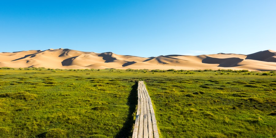 Mongolia-PRINT-0783 copy